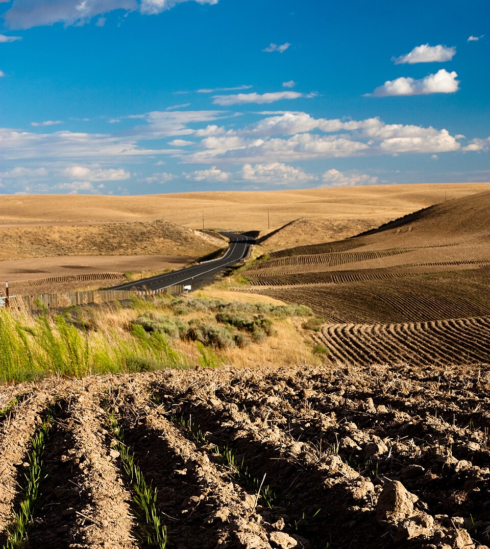 Agriculture operations context — scenario “Agriculture Crop Health Observation Agent” runs as a detached NeuralOps agent.